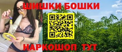дмт Аргун
