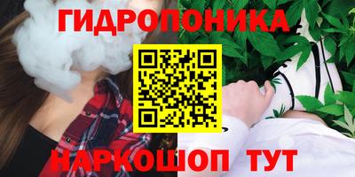 дмт Аргун