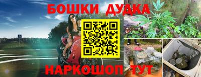 прущие грибы Апрелевка