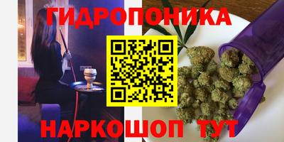 дмт Аргун