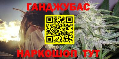 дмт Аргун