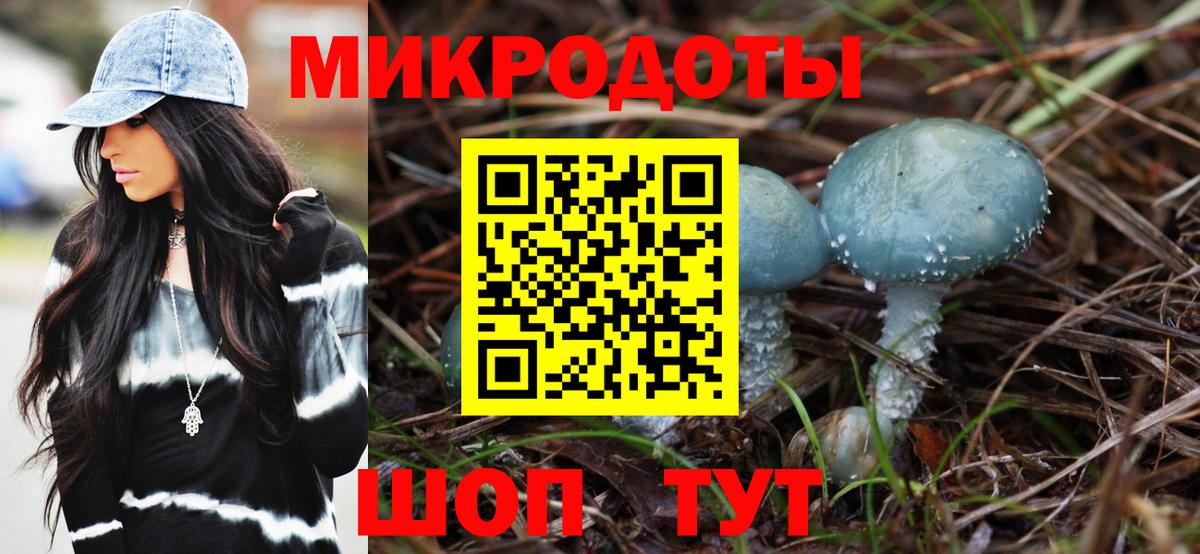 Галлюциногенные грибы Psilocybe  Галлюциногенные грибы мицелий  Бердск  Вход с VPN 